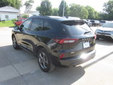Used 2024 Ford Escape ST-Line image 4