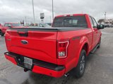 Used 2016 Ford F150 XLT w/ Equipment Group 302A Luxury image 5