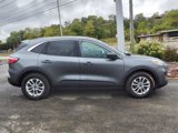Used 2022 Ford Escape SE w/ Cold Weather Package image 2