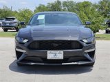 Used 2022 Ford Mustang Coupe w/ Equipment Group 101A image 2