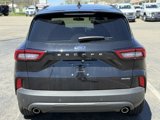 New 2025 Ford Escape ST-Line Select w/ Tech Pack #1 image 3