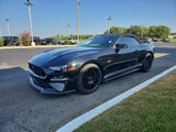 Used 2018 Ford Mustang GT Premium w/ GT Performance Package image 2