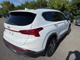 Used 2023 Hyundai Santa Fe SEL w/ Premium Package image 5