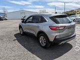 Used 2022 Ford Escape SE image 3