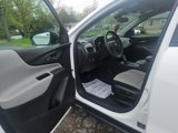 Certified 2024 Chevrolet Equinox LS w/ LS Convenience Package image 6