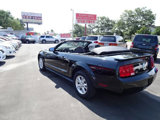 Used 2008 Ford Mustang Premium image 6