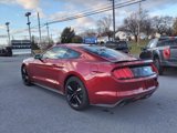 Used 2016 Ford Mustang Premium w/ Ecoboost Performance Package image 6