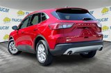 Used 2020 Ford Escape SE image 2