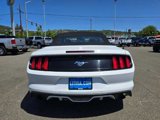 Certified 2017 Ford Mustang Premium w/ Ecoboost Performance Package image 4