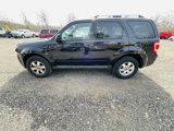 Used 2012 Ford Escape Limited image 4