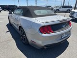 Used 2022 Ford Mustang Premium image 5