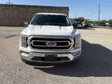 Used 2021 Ford F150 XLT w/ Equipment Group 302A High image 2