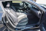 Used 2016 Ford Mustang GT Premium w/ Equipment Group 401A image 3