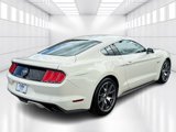 Used 2015 Ford Mustang 50 Years image 6