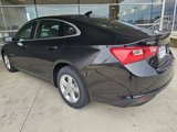 Used 2024 Chevrolet Malibu LT image 3