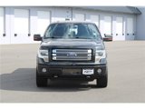 Used 2013 Ford F150 Limited image 2