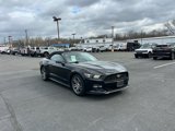 Used 2016 Ford Mustang Premium image 3