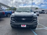 New 2025 Ford F150 Lariat w/ Equipment Group 501A Mid image 2