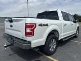Used 2018 Ford F150 XLT w/ Equipment Group 302A Luxury image 5