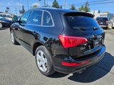 Used 2010 Audi Q5 3.2 Premium Plus w/ Premium Plus Pkg image 6