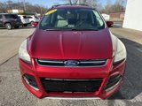 Used 2014 Ford Escape Titanium image 2
