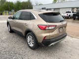 Used 2021 Ford Escape SE image 4