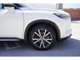 New 2025 INFINITI QX60 Autograph w/ Lighting Package (N94) image 3