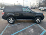 Used 2011 Ford Escape XLT image 4