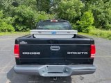Used 2003 Dodge Dakota Sport image 6