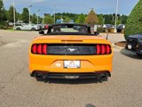 Used 2020 Ford Mustang Convertible w/ Equipment Group 101A image 6