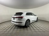 Used 2019 Audi e-tron Prestige image 4