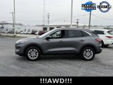 Used 2022 Ford Escape SE image 5