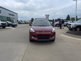 Used 2014 Ford Escape Titanium image 2