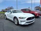 Used 2021 Ford Mustang Coupe image 3