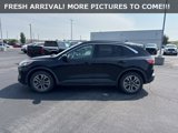 Used 2020 Ford Escape SEL image 2