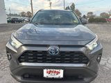 Used 2022 Toyota RAV4 XLE Premium image 5