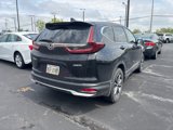 Used 2020 Honda CR-V EX-L image 3