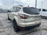 Used 2018 Ford Escape SE w/ SE Sport Appearance Package image 5