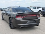 Used 2020 Dodge Charger SXT w/ Blacktop Package image 5