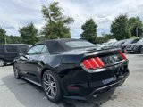 Used 2015 Ford Mustang Premium image 3