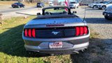 Used 2022 Ford Mustang Premium image 5