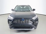 Used 2019 Toyota RAV4 Limited image 2