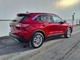 Certified 2022 Ford Escape SE w/ Convenience Package image 6