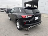 Used 2022 Ford Escape SE w/ Convenience Package image 3