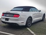 Used 2019 Ford Mustang GT image 5