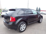 Used 2013 Ford Edge SEL image 6