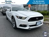 Used 2016 Ford Mustang GT Premium image 2
