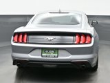 Used 2022 Ford Mustang Coupe w/ Equipment Group 101A image 5