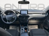 Used 2024 Ford Escape Active image 3