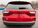 Used 2022 Ford Escape SE w/ SE Sport Appearance Package image 4